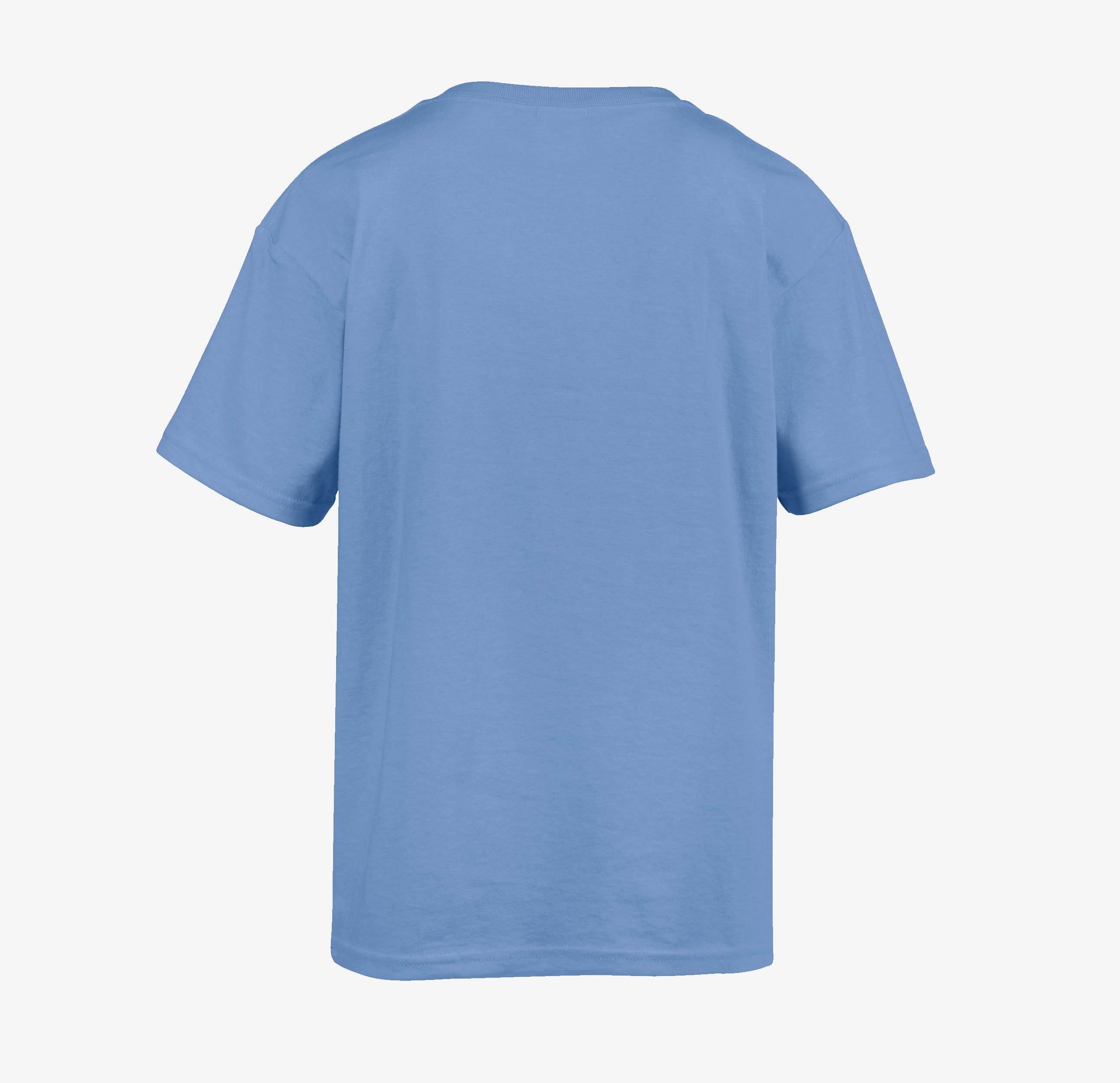 卡罗莱纳蓝 背面.jpg